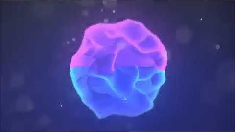 Top 10 Intro Templates Free Downloads (No Name)