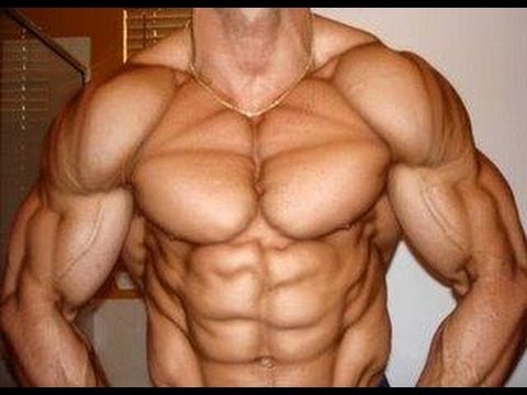 fat loss muscle gain workout routine
