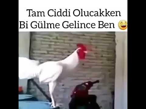 türk fetiş porno