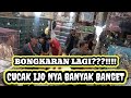 BANYAK CUCAK IJO DAN JENIS BURUNG LAIN NYA DI SINI.