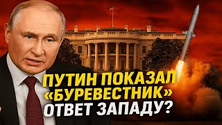Срочные новости! Реакция США на заявление Путина о ракете «Буревестник»! Вот что они сказали!