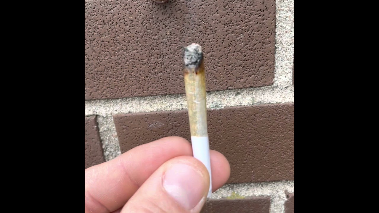 Blue Dream Sativa By Station House must Be 19 to watch