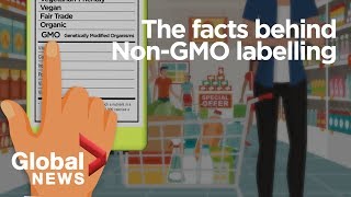 GMO foods: Why it's 'meaningless' to label genetically-modified organisms