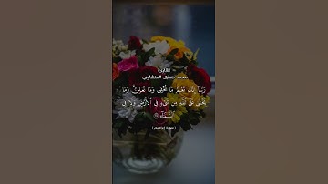 سورة إبراهيم آيه ٣٨ #القرآن_الكريم #العراق #الجزائر #اكسبلور #لايك #تيك_توك #المغرب #راحة_نفسية #مصر