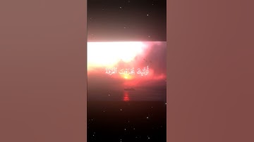 #سورة_الفرقان |القارئ:#محمد_اللحيدان ||#quran #القرآن_الكريم #تلاوة_خاشعة #المصحف #راحة_نفسية