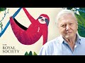 Why is biodiversity important - with Sir David Attenborough | The Royal Society