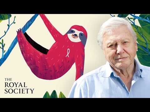 Why is biodiversity important to society?