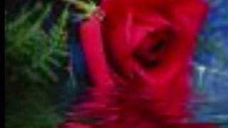 Azad2009 - Hakki Bulut Gül Be Melegim Resimi