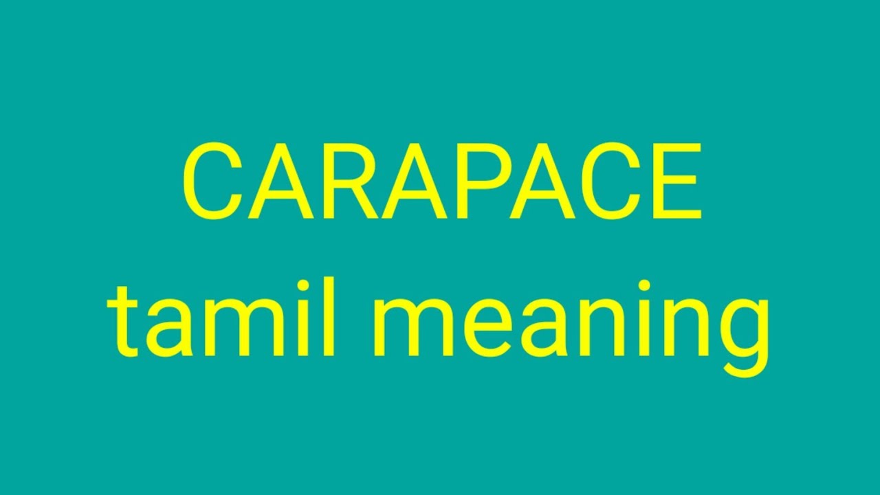 Freak Meaning In Tamil / SURVEILLANCE tamil meaning