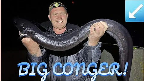 Fishing for conger in Amlwch North wales