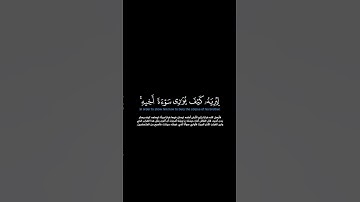 سورة المائدة: الآية [٣٠-٣١]#القرآن_الكريم #الفرقان #سورة_المائدة #عبدالله_الموسى #قرآن #تلاوة #آيات