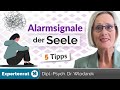 Alarmsignale der seele  5 dinge die sie tun knnen um gegen stress  berlastung anzugehen