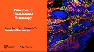 Intro to Light Microscopy 2: Principles of Fluorescence Microscopy