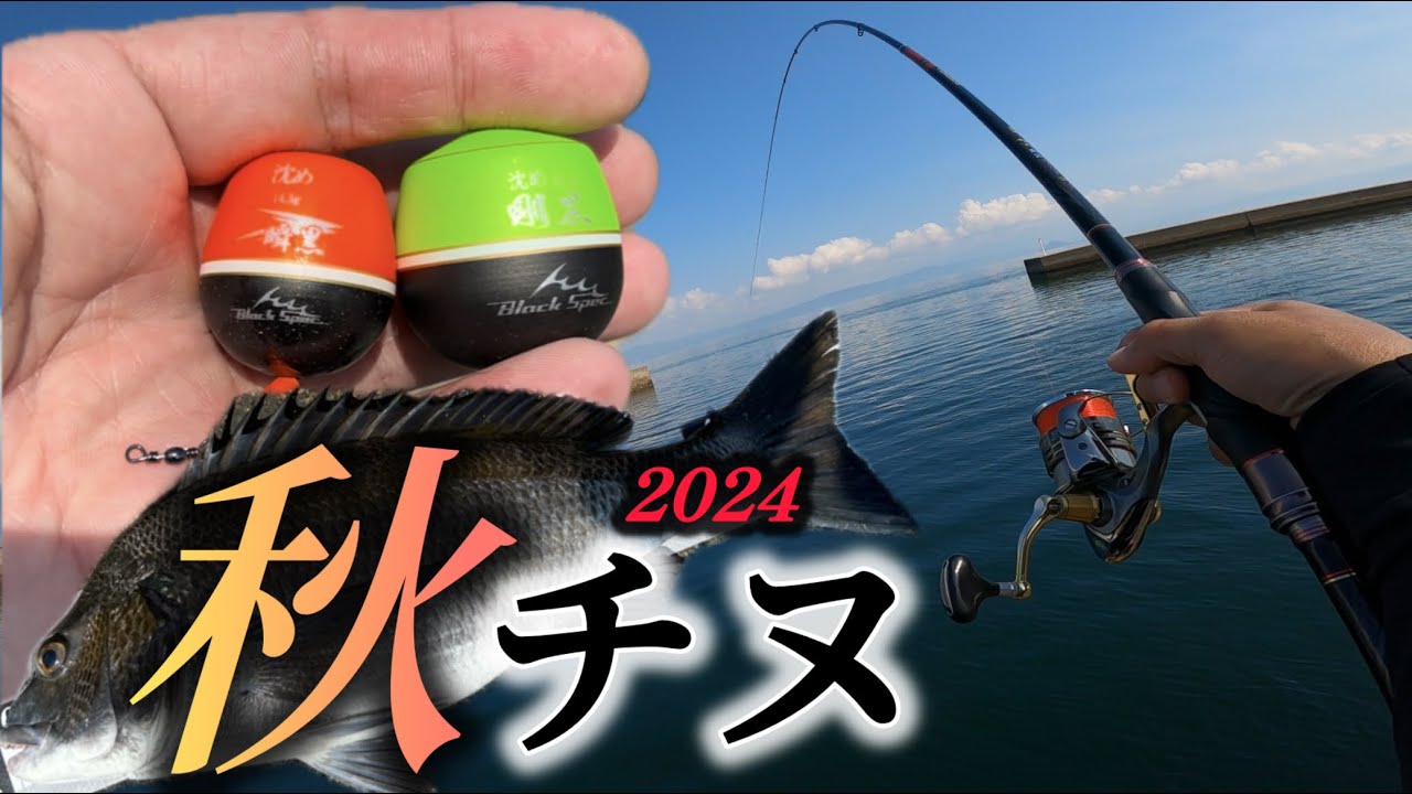 【チヌ釣り】久し振りの秋チヌ狙いが最高だった！