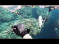 【素潜り魚突き】2024年6月25日【spearfishing in JAPAN】