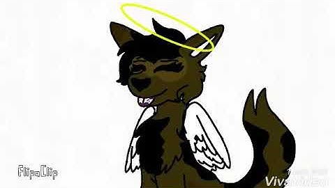 Head Bob (Animation Test)