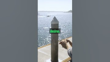 The Shocking Truth About Preference Utilitarianism