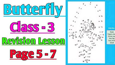 Butterfly | Class 3 | Revision Lesson | Page 5-7 | English | Primary Book @ClassesofPradyutSir