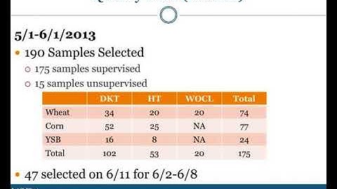 quality pilot program