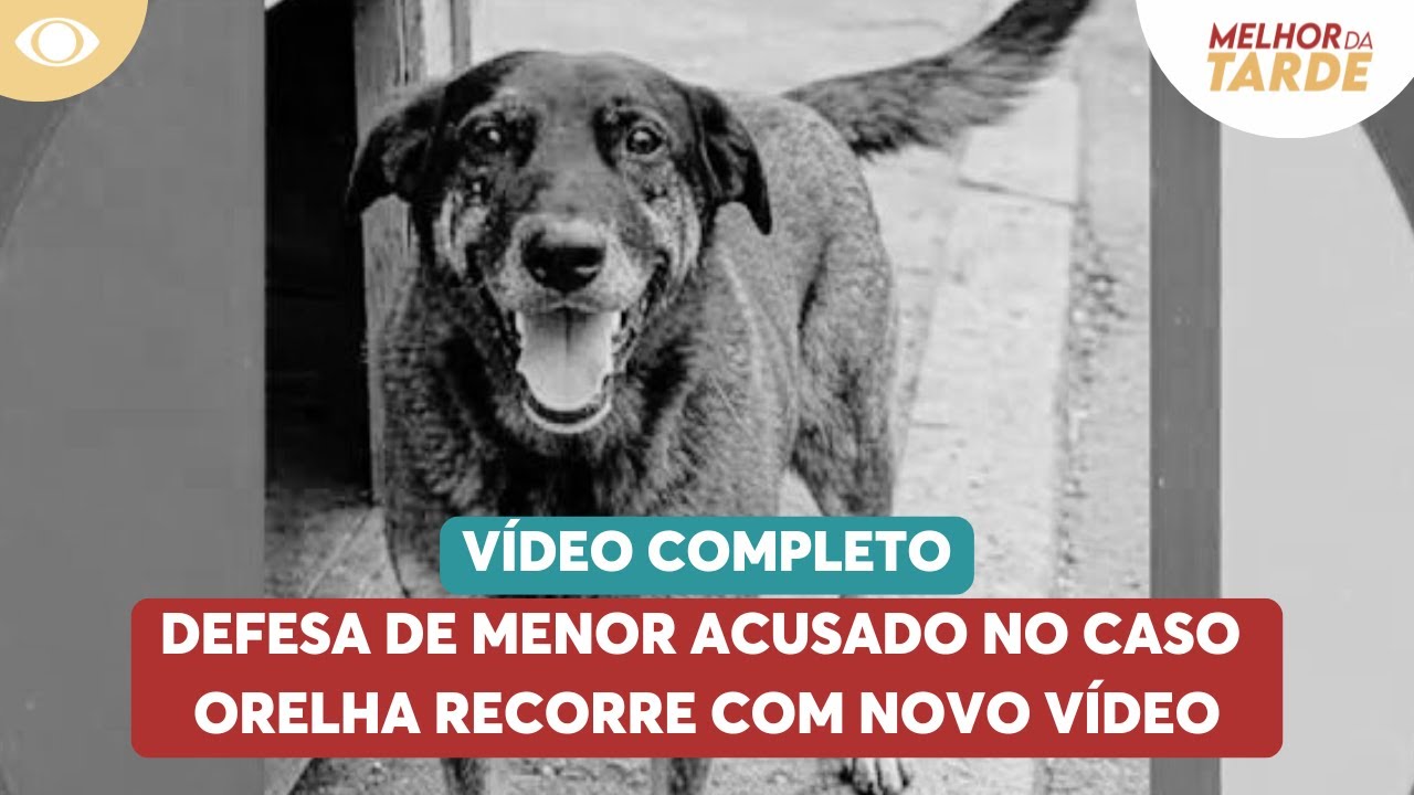 VÍDEO COMPLETO: defesa de menor no caso Orelha recorre com novo vídeo | Melhor da Tarde