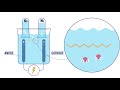 Le fonctionnement de l'hydrogène