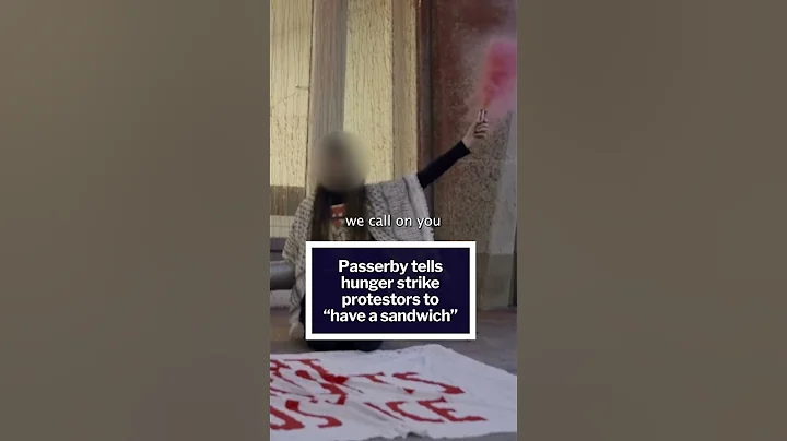 'HAVE A SANDWICH' - Passerby SHOUTS at hunger strike protesters