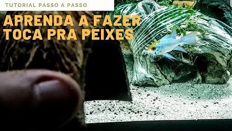 Como tirar cocô do aquário?