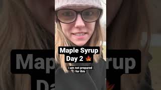 maple syrup: day 2 Profile
