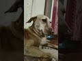 சாதாரணமா அந்த இடத்துக்கு வரல டா எவ்வளவு பாடு