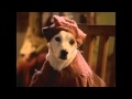 Wishbone the hunc.og of notre dame 12