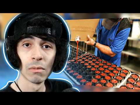 Pedroidbr Reage a OS VÍDEOS MAIS SATISFATÓRIOS DA INTERNET - Daily Dose Of Internet