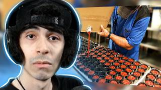 Pedroidbr Reage a OS VÍDEOS MAIS SATISFATÓRIOS DA INTERNET - Daily Dose Of Internet