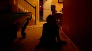 Hospital-The Used
