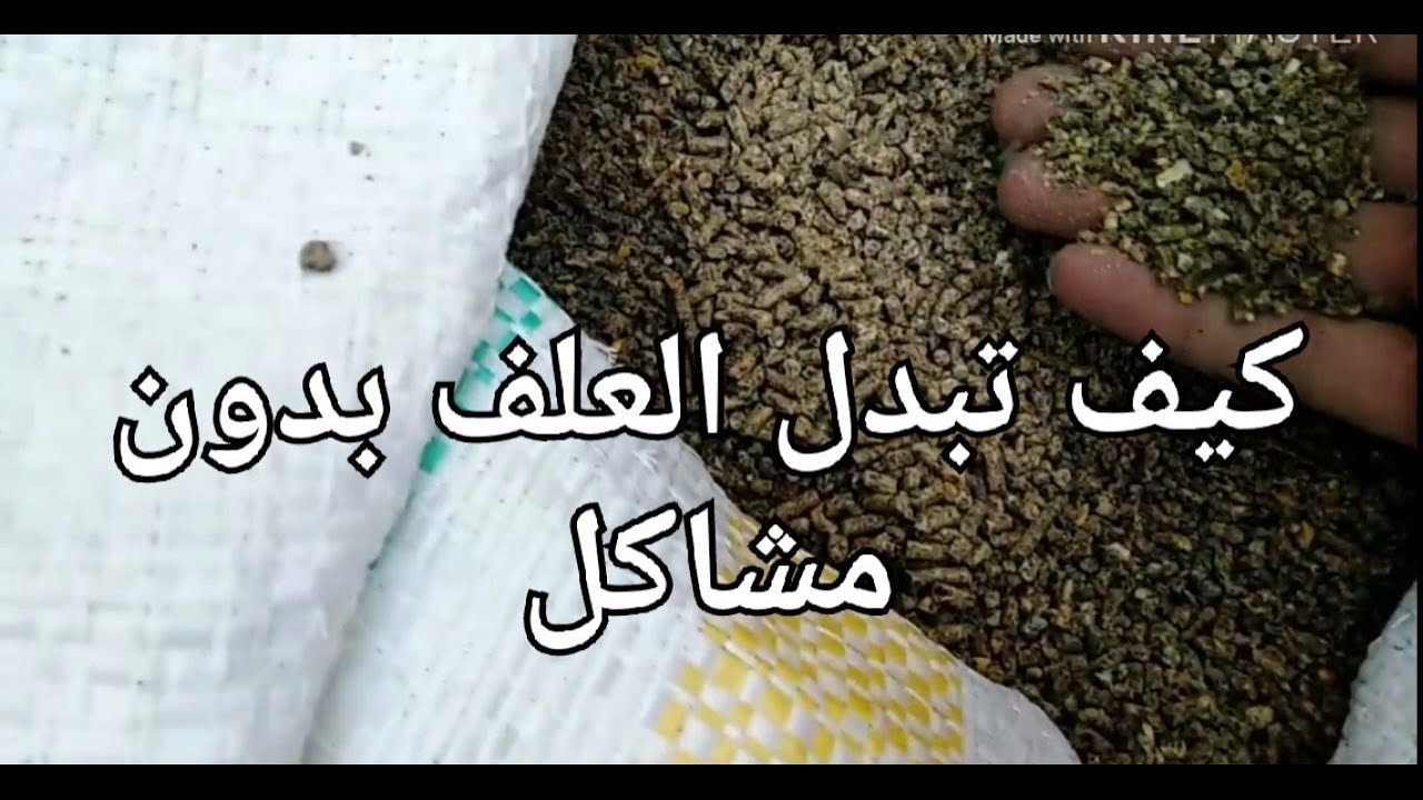 كيف أقوم بتبديل العلف بدون مشاكل