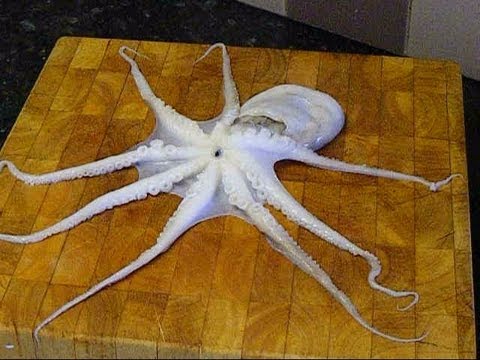 Video: How To Butcher An Octopus