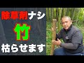 【竹】除草剤を使わずに竹を枯らす
