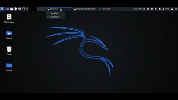 Backdoor Attack Demo using the Veil Framework