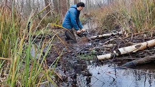 Found supplies of beaver on the river. I am clearing.