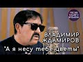 Владимир Ждамиров - А я несу тебе цветы ( ВИДЕО 2020 ) новинки музыки 2020