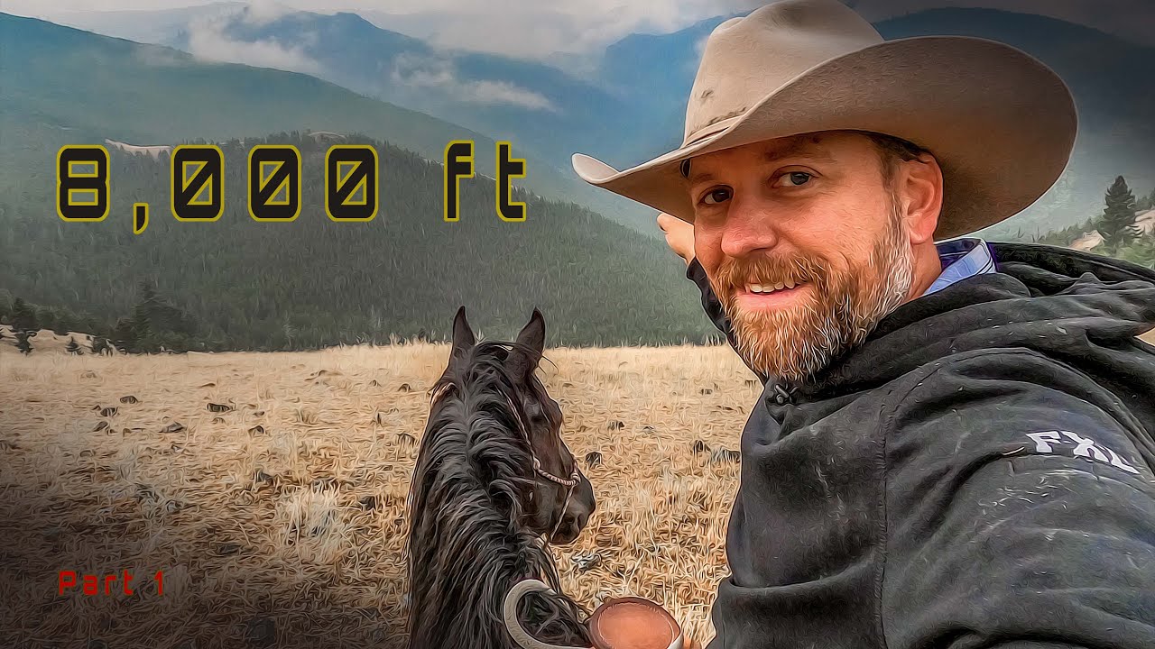 ⁣Finding Cattle at 8,000 ft - Montana High Country