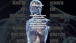 Клетки человека #факты