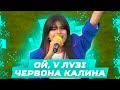 ОЙ У ЛУЗІ ЧЕРВОНА КАЛИНА... / надемоційне виконання від Мішель Андраде