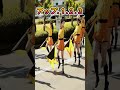 京都橘高校吹奏楽部 パレードの始まりなんて言ってるの?