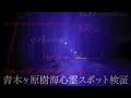 【心霊】日本一の自〇の名所 青木ヶ原樹海 心霊スポット検証 そこに残る魂とは 名前を呼ぶ女性の声 無念を訴える声 苦しむ声 助けを求める魂 幽霊 山梨県 富士の樹海【Japanese horror】