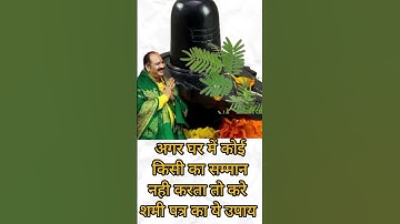 अगर घर में कोई किसी का आदर नहीं करता तो करें शमी का उपाय #shorts #pradeepmishra #upay