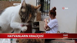 Hayvanların Kraliçesi, 150 Hayvana Bakıyor Hayvanların Kraliçesi, 150 Hayvana Bakıyor
