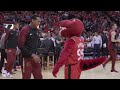 The Raptor’s Best Moments | Celebrating the Raptors Birthday