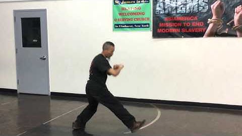 Da Cheng Dao Kung Fu - First Form