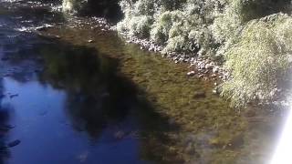 Puente Lago Colico Región Araucanía Chile