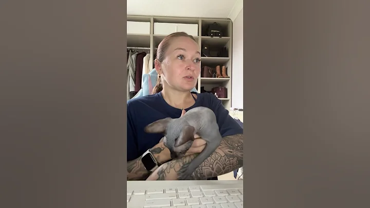 Watch the video about Sphynx Cats are the best cats ever! #sphynx #catlove #catlover